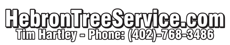 Welcome to Hebron Tree Service